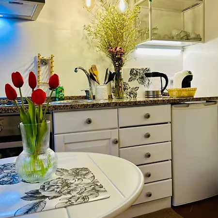 Διαμέρισμα Treefico24 - Coronari Loft *
